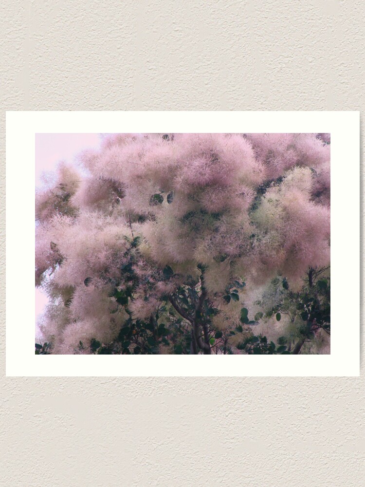Alternate view of Pink Velvet Art Print