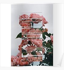 Rose Glitch Poster