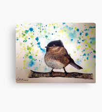 Bird brains Canvas Print