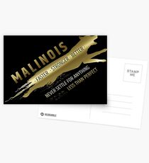 Belgian shepherd - Malinois Postcards