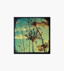 Head in the Clouds - TTV Art Board