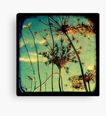 Head in the Clouds - TTV Canvas Print