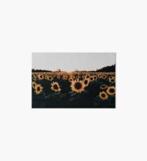 Sunflower Field 2015 Art Board