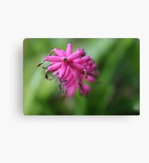 Lienzo Pink Matchstick
