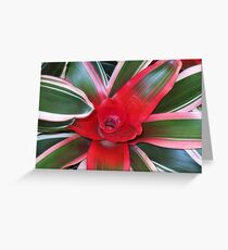 Close up Greeting Card