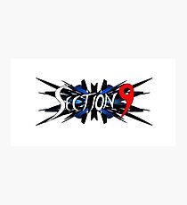 Section 9 Photographic Print