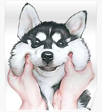 Husky Poster