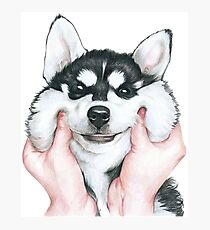 Husky Photographic Print