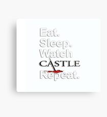 WATCH CASTLE Metal Print