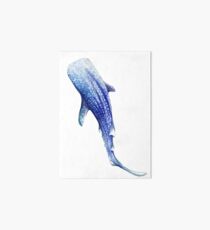 Whale Shark Art Board