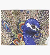 Peacock 2 Poster
