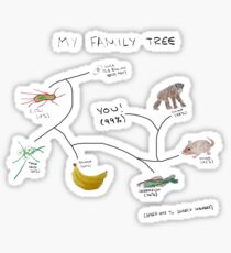 My Family Tree Sticker