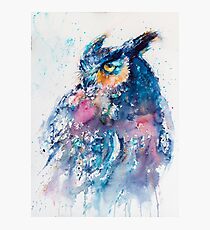 Great horned owl Photographic Print