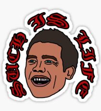 BEN COUSINS Such is Life Sticker