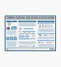 The Chemistry of Ocean Acidification Photographic Print