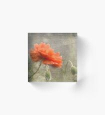 100 Years - In memory of fallen soldiers WW1 Acrylic Block