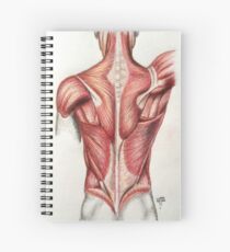 anatomy Spiral Notebook