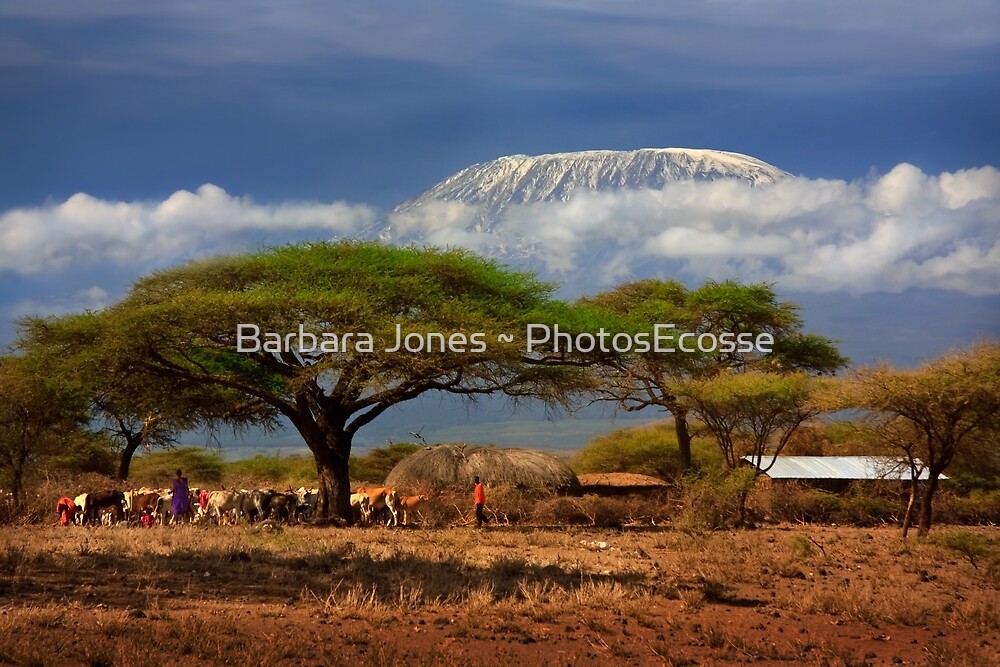 Красивая страна африки. Национальный парк Килиманджаро в Африке. Национальный парк Килиманджаро в Танзании. ЮАР Килиманджаро. Саванна Килиманджаро.