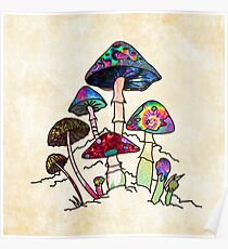 Garden of Shroomz Poster