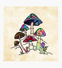 Garden of Shroomz Photographic Print