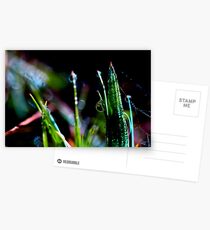 droplet Postcards
