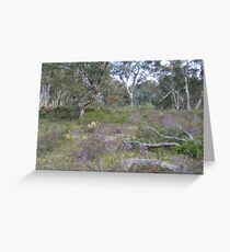 Wild flower spring field Greeting Card