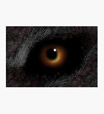 The EVIL EYE Of The Eclipse! Photographic Print