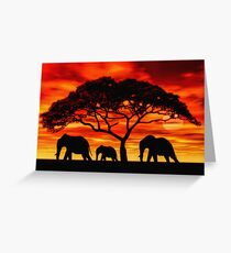 Acacia Elephant Sunset Greeting Card