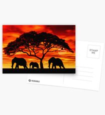 Acacia Elephant Sunset Postcards