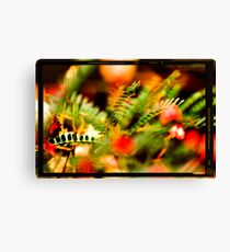 red & green Canvas Print
