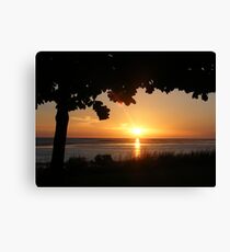 Karumba Sunset Canvas Print