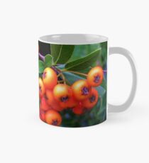 Pyracantha Berries Classic Mug