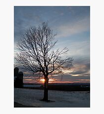 Farm Tree Photographic Print