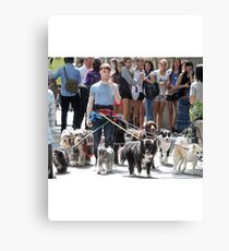 Daniel Radcliffe Walking Dogs Canvas Print