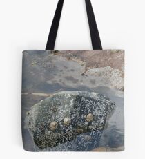 Rockpool Tote Bag