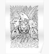 Endangered Species Poster