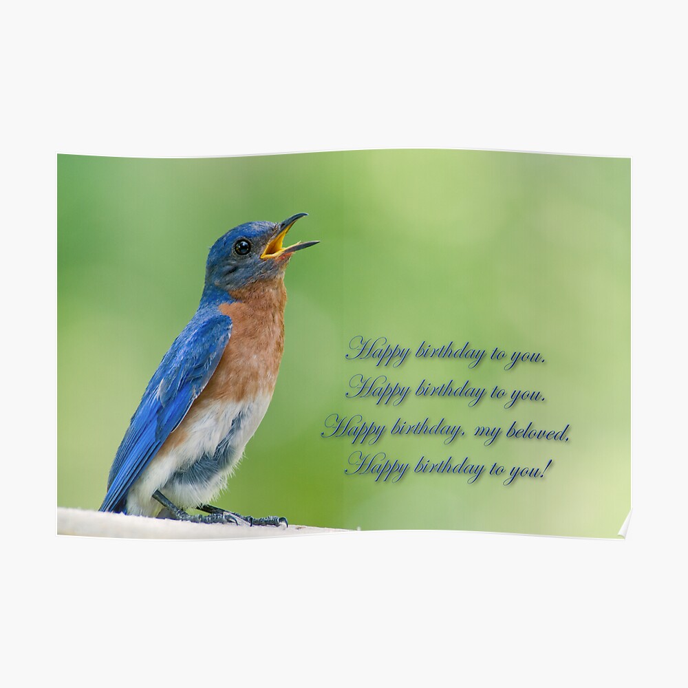 "Happy Birthday Bluebird" Poster by Miracles Redbubble
