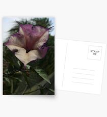 Bell Postcards