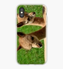 Baby Alpakas iPhone-Hülle & Cover