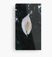 Floral Metal Print