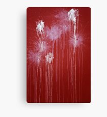 Fireworks Canvas Print