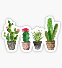 Watercolour Potted Succulents Pattern Sticker