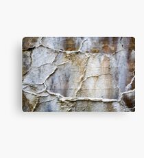 Wall Canvas Print