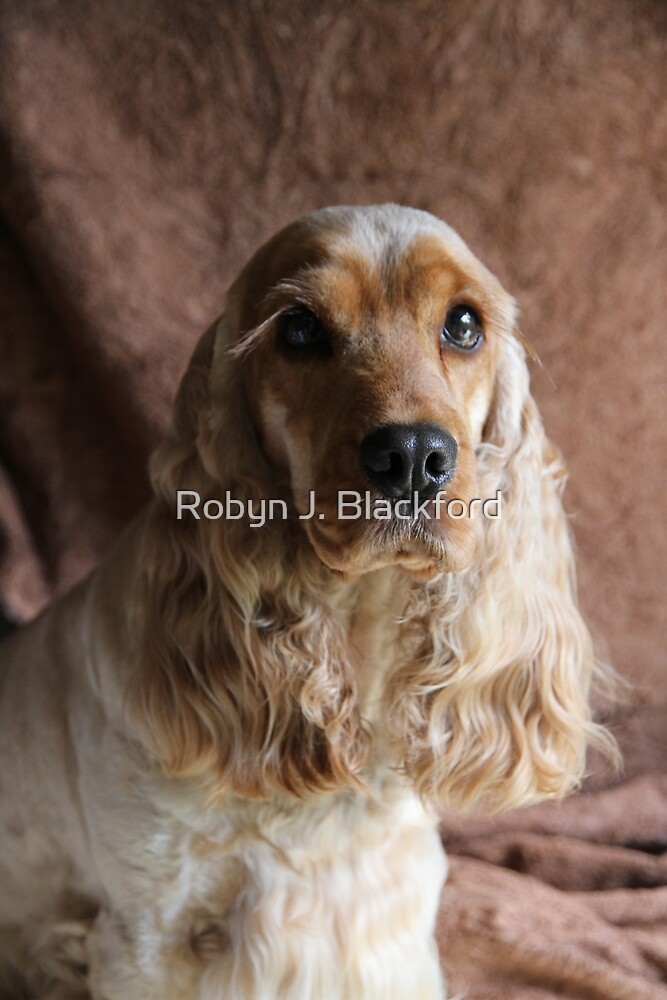 "Jessie Feels Like Velvet" by Robyn J. Blackford Redbubble