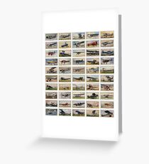 Luxury and personal airplanes from 1930s. Collection of 50 Greeting Card