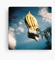 Flying fish Canvas Print