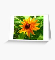 Morning Light Greeting Card