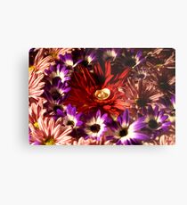 abstract flower macro Metal Print