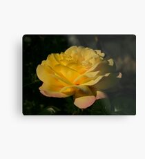 bright Metal Print
