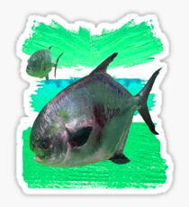 License to Fish Sticker